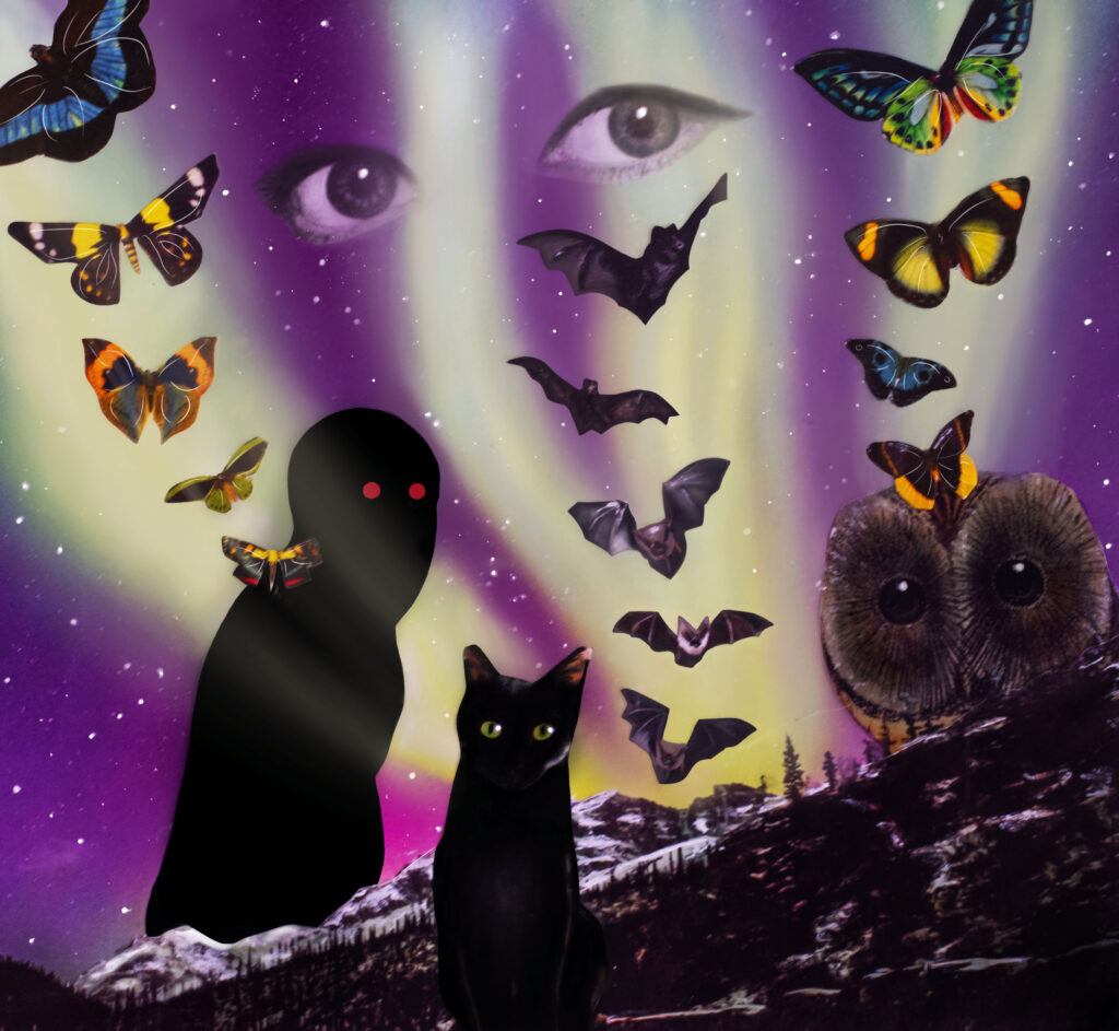 meta dusk web ready