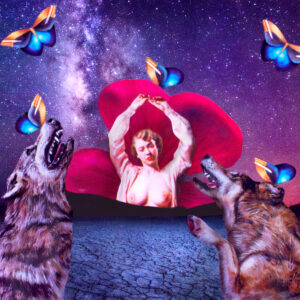 Wolves, mixed media artwork by Anna Brangoccio